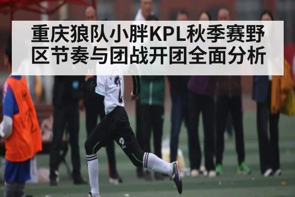 重庆狼队小胖KPL秋季赛野区节奏与团战开团全面分析 - kaiyun