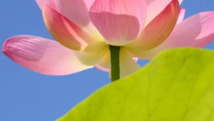 开云体育官网在线免费注册-疲惫是成长信号，坚持离梦想更近|长跑|极限|运动员|能量|人生_新浪新闻