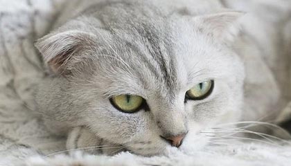 云开体育官网入口-浓眉第二？哈登拒火箭半亿年薪续约 一心要去篮网